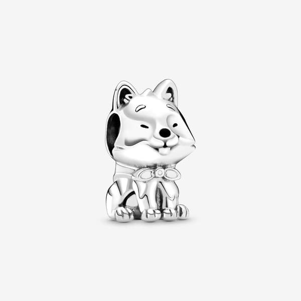Japanilainen Akita Inu -koiran viehätys