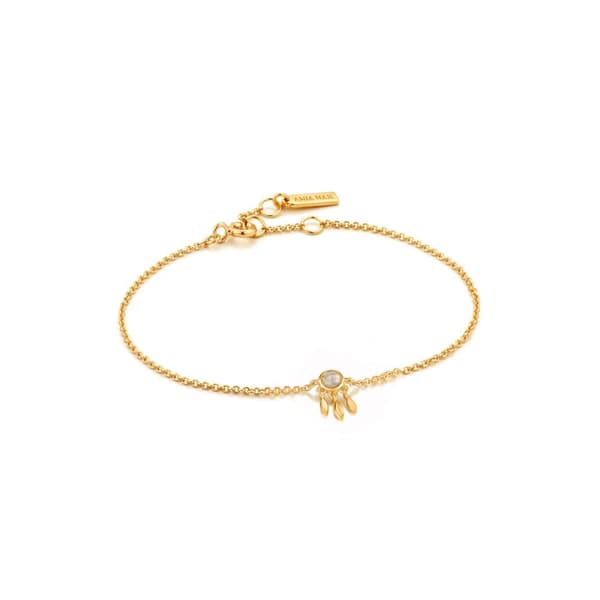 Armbånd for Kvinner Ania Haie B026-02G 19 cm