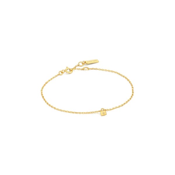 Armbånd for Kvinner Ania Haie B032-02G 19 cm