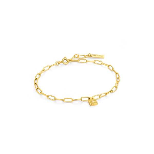 Armbånd for Kvinner Ania Haie B032-01G 19 cm