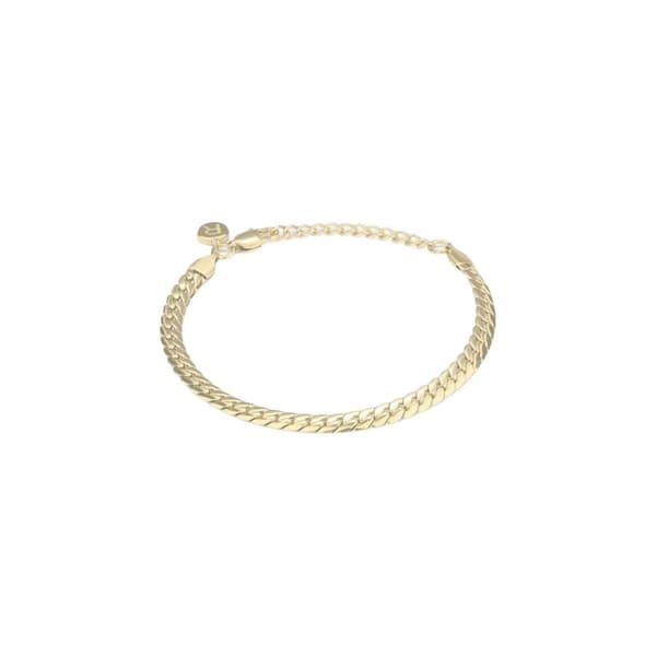 Armbånd til kvinder Radiant RH000227 Gylden