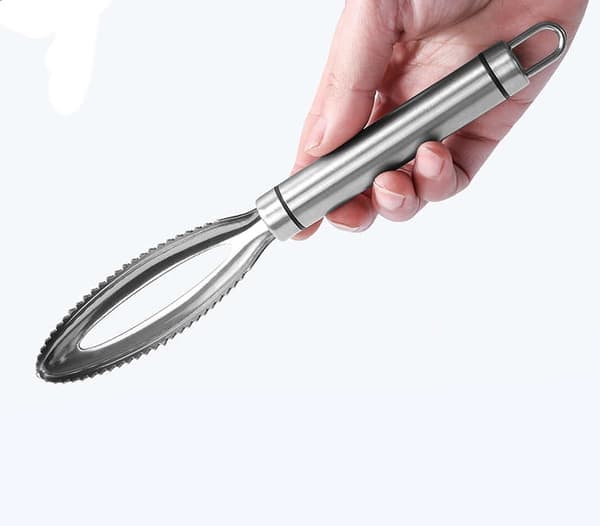 Fish Scale Remover/Fish Scaler - Stainless Steel Oval Broad Serrated