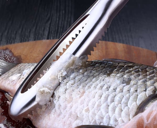 Fish Scale Remover/Fish Scaler - Stainless Steel Oval Broad Serrated