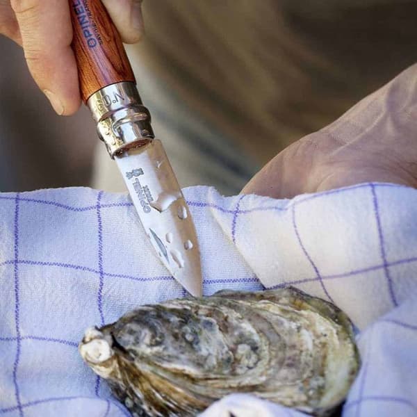 OPINEL OSTER OCH SKALLDJSKNIV N9