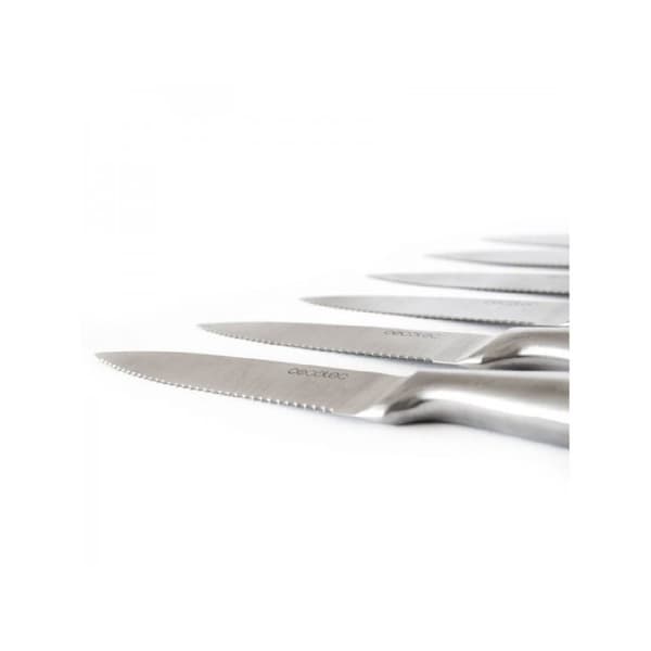 Cecotec Set of 6 professional serrated meat knives, with 2-mm thick blade.