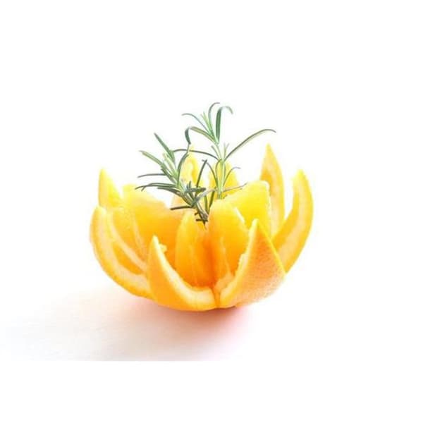 Rustfri citruskniv - Hendi 856185