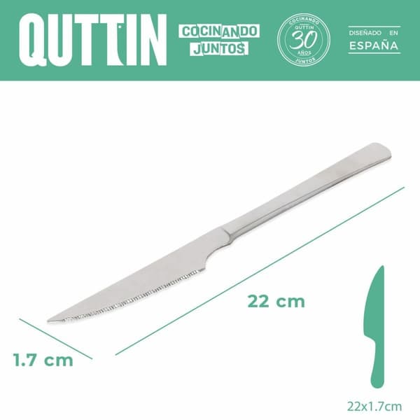 Set med köttknivar Madrid Quttin Madrid (21 cm) 21 x 2 cm 2 Delar (2 antal)
