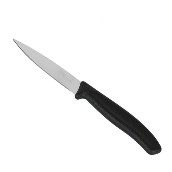 Set med skalknivar Quttin Basic 6 Delar 19,5 x 2 x 1 cm (12 antal)