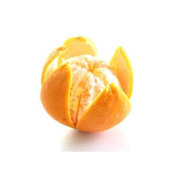 Rustfri citrusskrællekniv - Hendi 856055