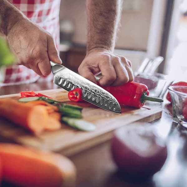 SHAN ZU japanska Damaskus stål Santoku kniv 67 lager stål köksknivar PRO-serien