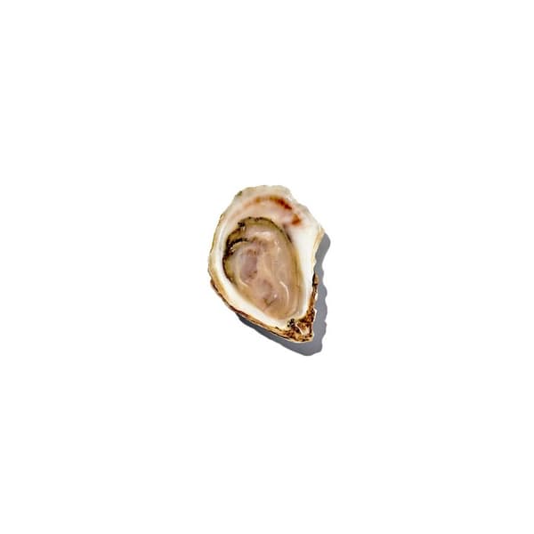 OXO-Good Grips østerskniv