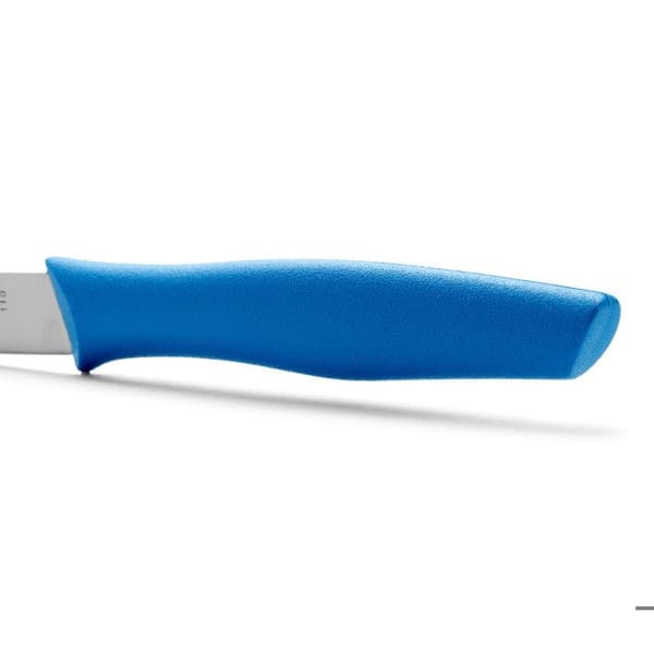 Mondador Arcos Nova 188623 rostfritt stål Nitrum och mango Polypropenkniv, blått blad 10 cm i displaykartong.