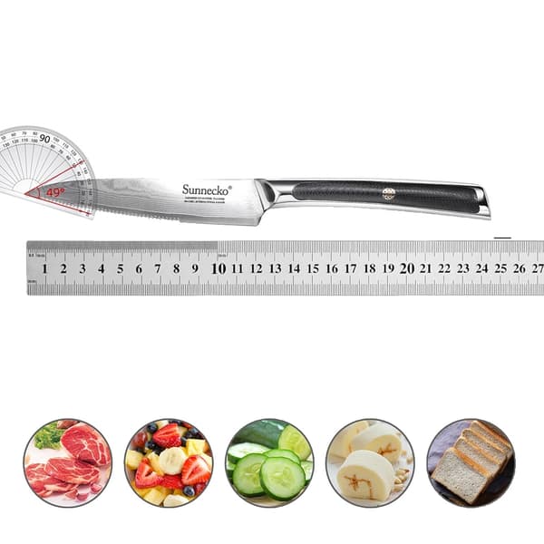 Sunnecko Køkkenkniv Sæt, 73-Lags Damascus Stål, Ergonomisk Håndtagsdesign,5 Tommer Steak Kniv