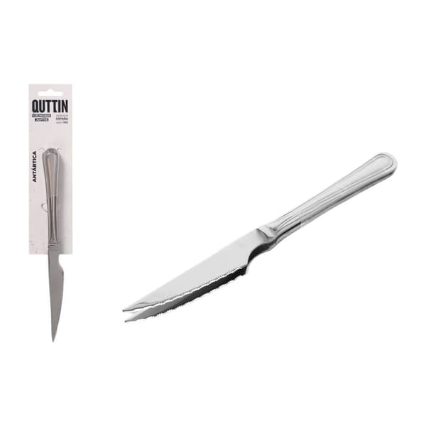 Set med köttknivar Quttin Antártica Silvrig Rostfritt stål 21,5 x 1,9 cm 2 Delar (12 antal)