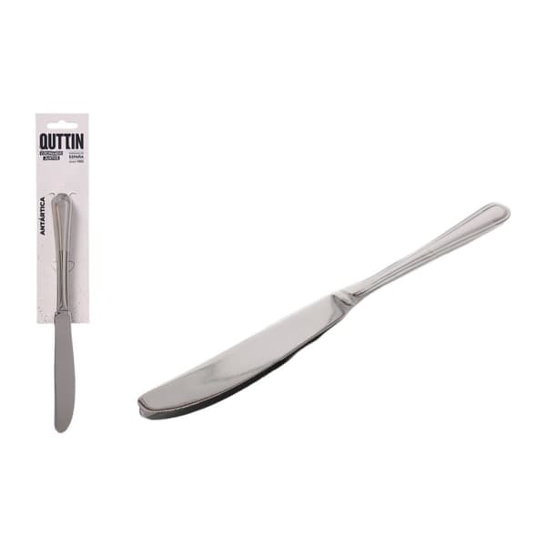 Knivset Quttin Antártica Silvrig Rostfritt stål 21,6 x 1,8 cm 2 Delar (12 antal)