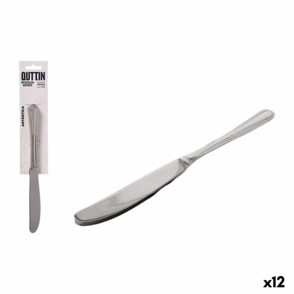 Knivsett Quttin Antártica Sølv Rustfritt stål 21,6 x 1,8 cm 2 Deler (12 enheter)
