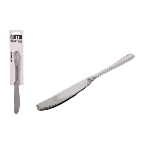 Knivset Quttin Antártica Silvrig Rostfritt stål 21,6 x 1,8 cm 2 Delar (12 antal)