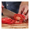 Miniatyrbild 6 av 6: Santoku-kniv Pakka Blad 18 cm