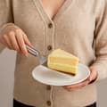 Miniatyrbillede 3 af 3: Kageudskærings- og serveringsspatel i rustfrit stål
