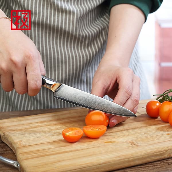 Utility Paring Knife, Damascus Steel Blade, Ergonomisk Håndtag Design,5 tommer