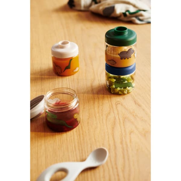 Dominique Barnematoppbevaring Tritan 4-Pack Dinosaurs/Mist Liewood