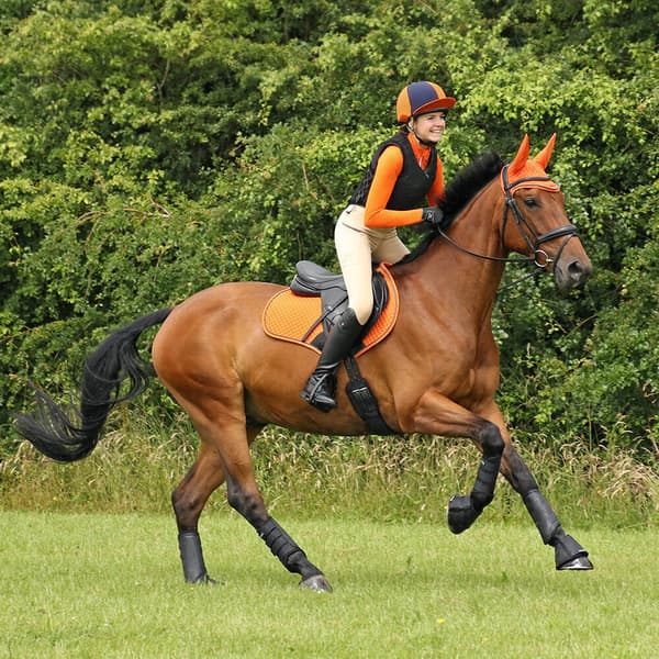Hy Sport Active Womens/Ladies Horse Riding Tights