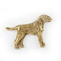 Miniatyrbillede 3 af 7: Dalmatian, Dalmatian Pointer - hundebroche i en dekorativ æske, elegant forgyldt nål, Art-Dog jakkestift
