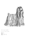 Pikkukuva 3 / 5: Yorkshirenterrieri, York, York, Yorkie - hopeoitu koiran rintakoru, tyylikäs pinssi, Art-Dogin takin käänne