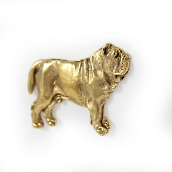 Napolitan Mastiffi, Napolin mastiffi, Mastino napoletano I - rintakoru koiralla koristelaatikossa, tyylikäs kullattu pinssi, Art-Dogin takkineula