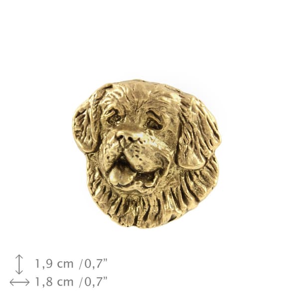 St. Bernard, St. Bernard, St. Bernarda - rintakoru koiralla koristelaatikossa, tyylikäs kullattu pinssi, Art-Dogin takkineula