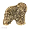 Pikkukuva 7 / 7: Polish Lowland Sheepdog, PON - koiran rintakoru koristelaatikossa, tyylikäs kullattu pinssi, Art-Dog takkineula
