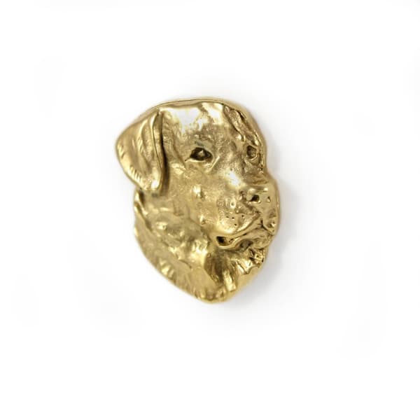 Labradorinnoutaja - rintakoru koiralla koristelaatikossa, tyylikäs kullattu pinssi, Art-Dogin takkineula