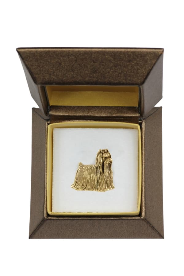 Yorkshire Terrier, York, York, Yorkie - hundebroche i en dekorativ æske, elegant forgyldt nål, Art-Dog jakkestift