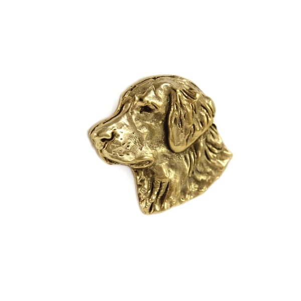 Golden Retriever I - rintakoru koiralla koristelaatikossa, tyylikäs kullattu pinssi, Art-Dogin takkineula