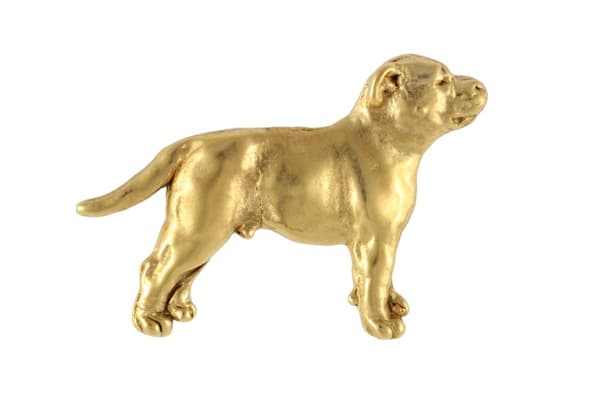 Staffordshiren bullterrieri, Staffik, Staffi II - koiran rintakoru koristelaatikossa, tyylikäs kullattu pinssi, Art-Dog takkineula