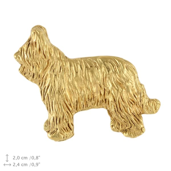 Ranskanpaimenkoira Briard, Berger de Brie II - rintakoru koiralla koristelaatikossa, tyylikäs kullattu pinssi, Art-Dogin takkineula