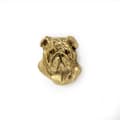 Pikkukuva 3 / 6: Englantibulldoggi, Bulldog II - kullattu pinnerintaneula, elegantti koristelu koiralla, Art-Dogin ainutlaatuinen pinssi