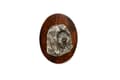Miniatyrbillede 1 af 4: Bearded Collie, Highland Collie - hundeudstillingsbroche, løbsnummerklip, Art-Dog hundenål