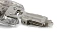 Miniatyrbillede 7 af 10: Hovawart - broche med clips, startnummerholder, gave til hundeudstilling af Art-Dog