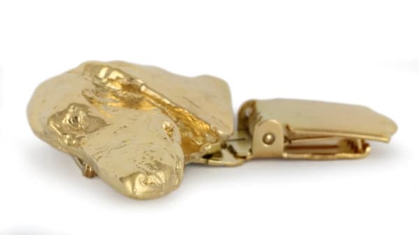 Korthåret gravhund - broche med clips, guldbelagt holder til startnummer, elegant nål til hundeudstilling af Art-Dog