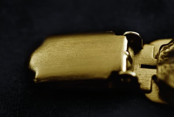 Norwich Terrier - broche med clips, guldbelagt startnummerholder, elegant hundeudstillingsnål fra Art-Dog
