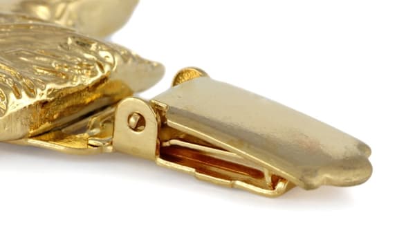 Langhåret gravhund - broche med clips, guldbelagt holder til startnummer, elegant nål til hundeudstilling af Art-Dog