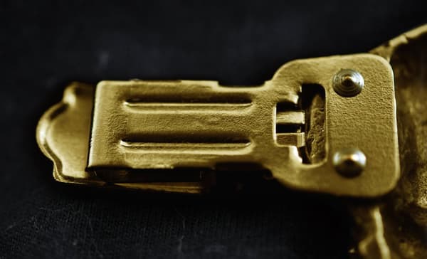 Langhåret gravhund - broche med clips, guldbelagt holder til startnummer, elegant nål til hundeudstilling af Art-Dog