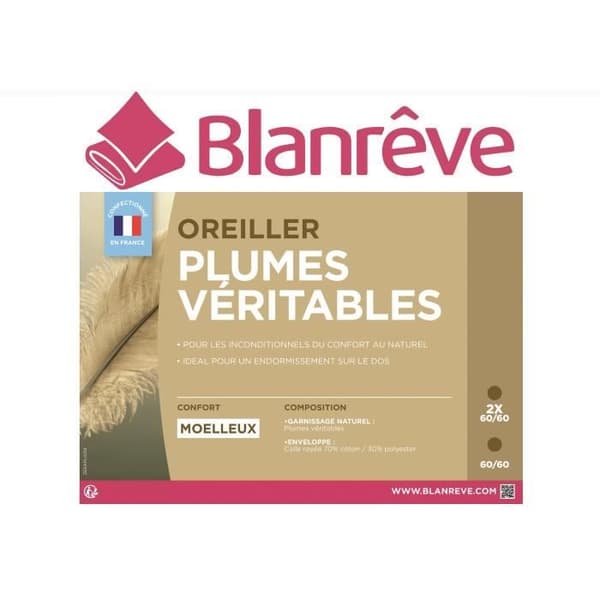 BLANREVE Uppsättning av 2 fjäderkuddar - 60x60 cm