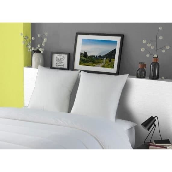 DODO Goose Down Kudde MORZINE Anti-Mites 65x65cm vit