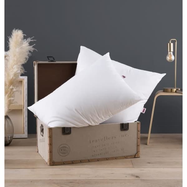 DODO Set med 2 medelstora kuddar - THE ESSENTIAL - 60x60 cm - 100% polyester