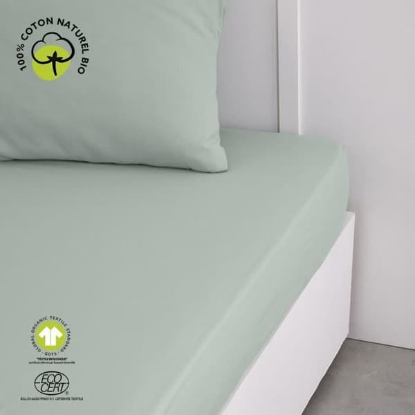 Dra-på-lakan - IDAG - 160 x 200 cm + 30 cm - Bomull - Organisk Celadon