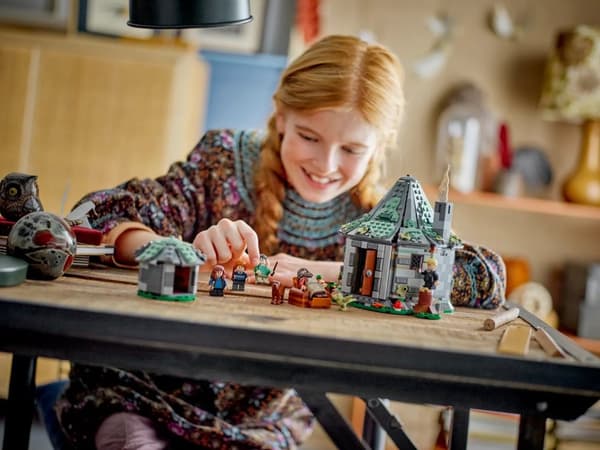 LEGO HARRY POTTER 76428 Hagrids koja - ett oväntat besök