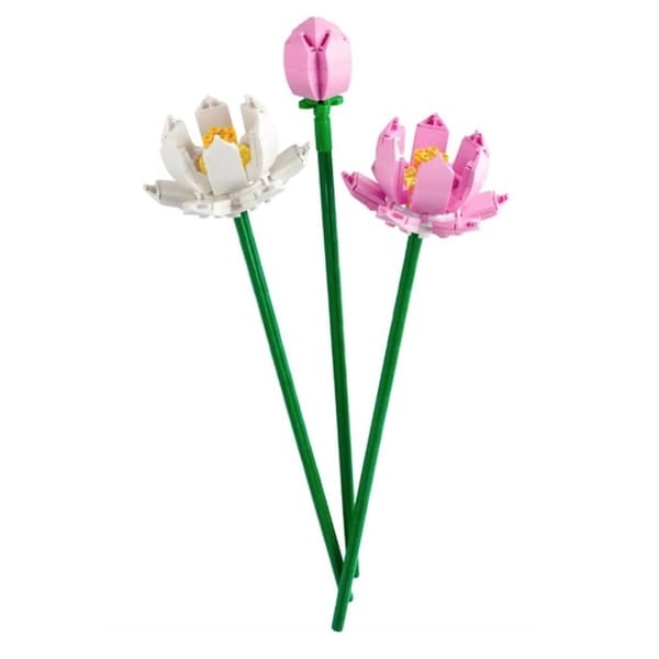 Beaphar rentouttava kaulapanta koirille - 65 cm