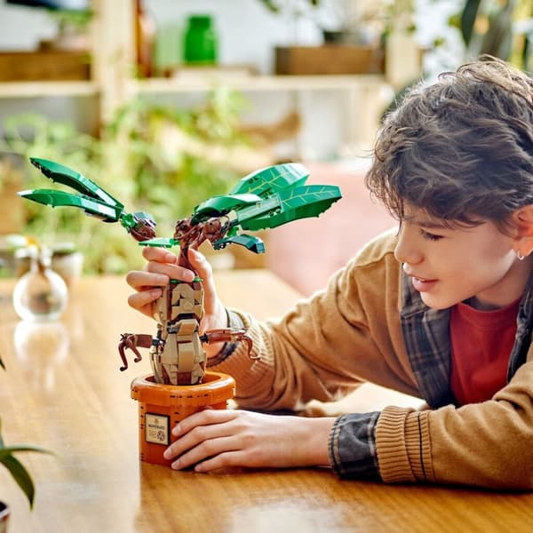 Lego 76433 Harry Potter Mandrake